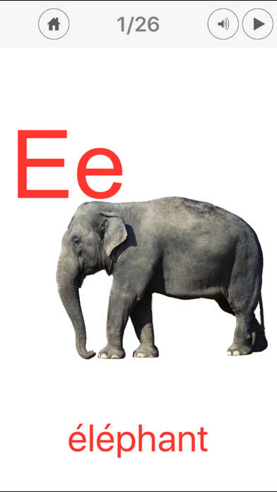 French Alphabet Cards Screenshot