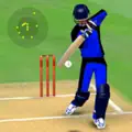 Smashing Cricket cricket game