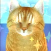 3D Cat Companion-Always With u icon