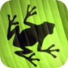 Jumping Frog Strategy icon