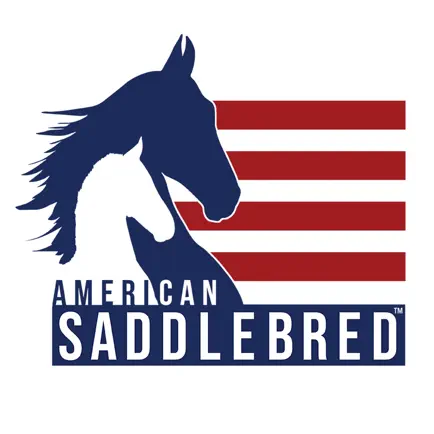 American Saddlebred Читы