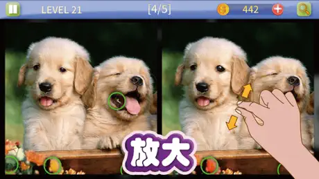 Bite Counter