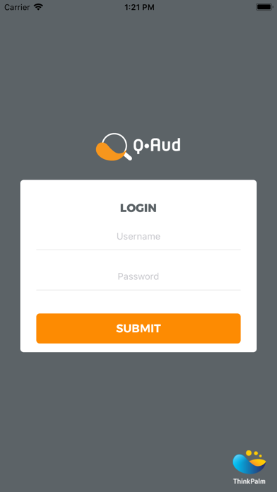 Q-Aud Screenshot