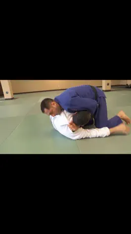 Game screenshot BJJ Brown Belt Requirements hack