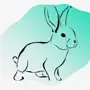 Rabbit: Mental Health