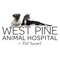 This app is designed to provide extended care for the patients and clients of West Pine Animal Hospital and Pet Resort in West End, North Carolina