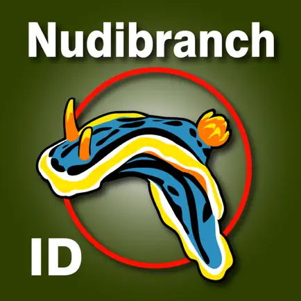 Nudibranch ID Australia NZ Cheats
