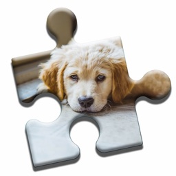 Golden Retriever Puzzle