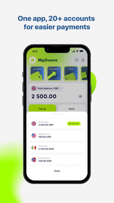 MyGuava - All Things Payments Screenshot