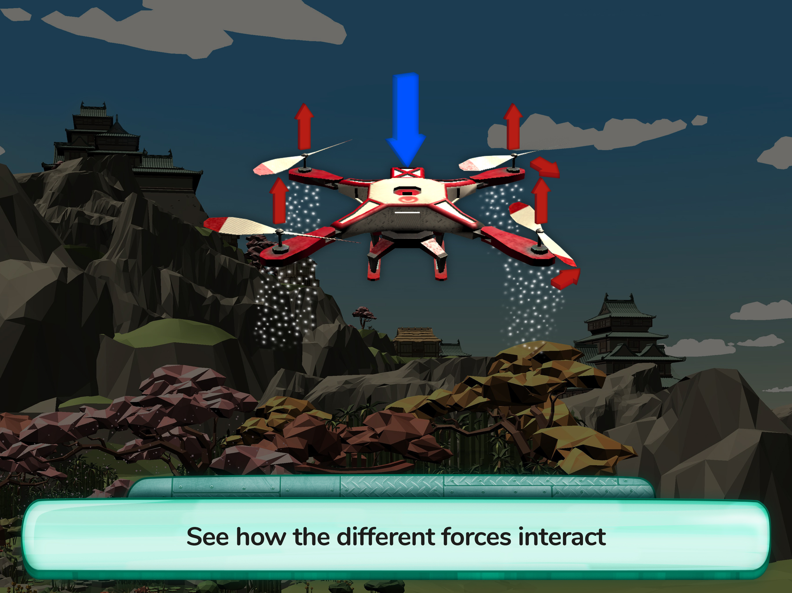 How do Things Fly?