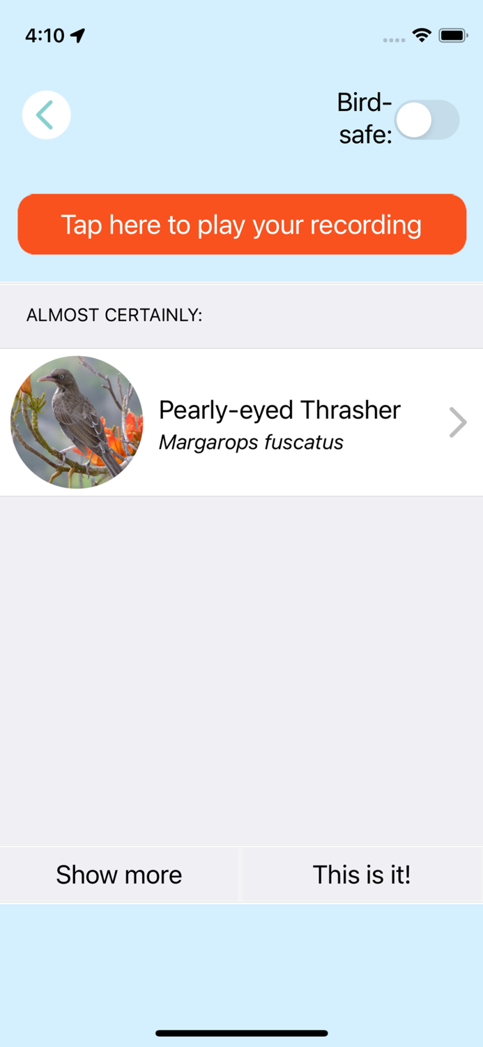 ChirpOMatic Caribbean