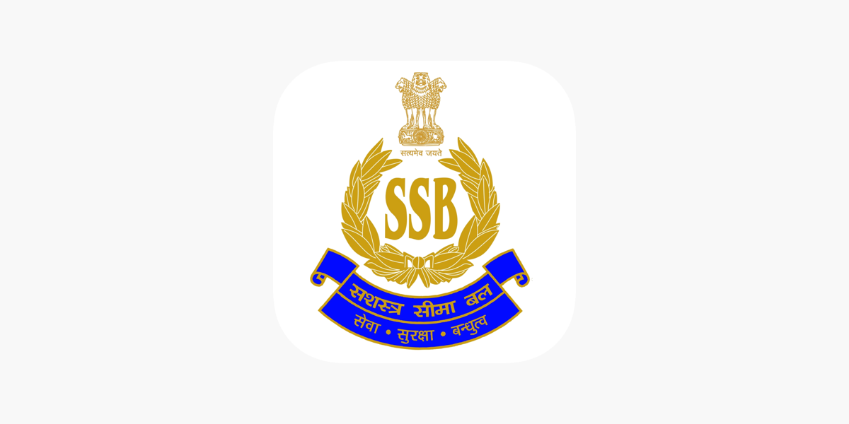 SSB Logo 3X5 Flag – PharoVerse Shop