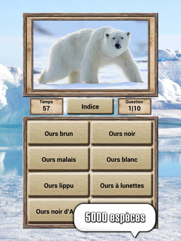 Screenshot #5 pour Règne animal - jeu de quiz