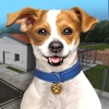 Animal Shelter Simulator icon