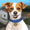 Animal Shelter Simulator Positive Reviews, comments