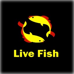 LIVE FISH Buy-Fish-Online