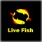 Buy premium, high-quality, safe fresh meats & seafood cuts online at LIVEFISH