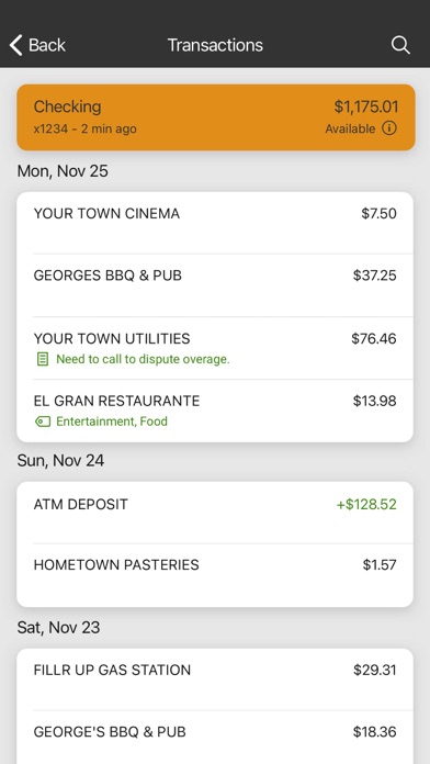 Platinum Bank MN Screenshot