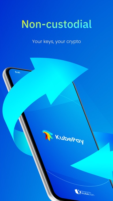 KubePay Screenshot