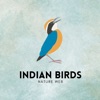 Indian Birds icon