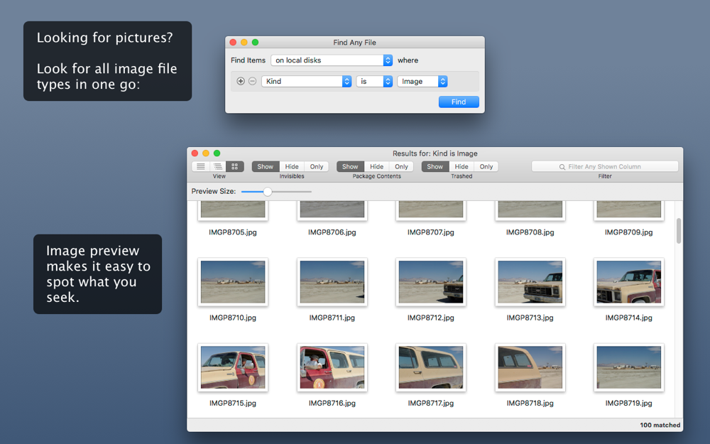 Find Any File screenshot 3