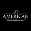 ASE Auctions icon