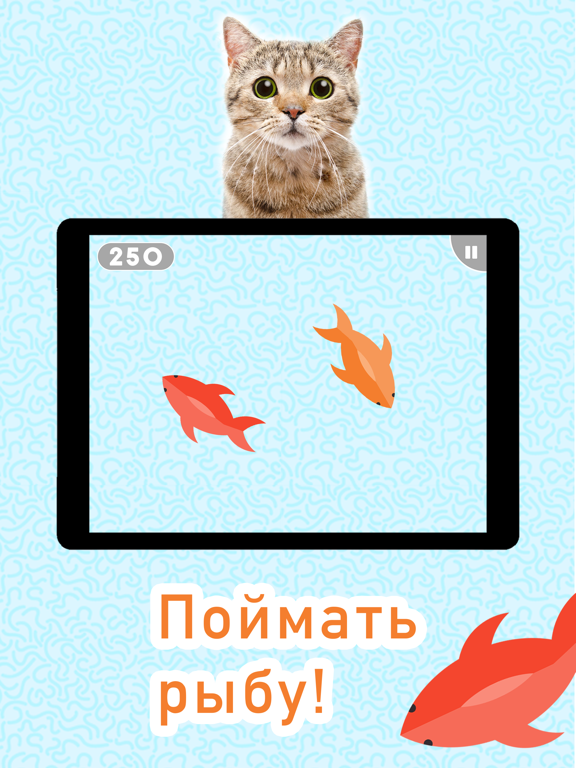 Игры для кошек! на iPad