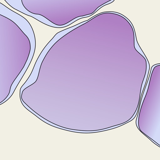 Blasts - The Fast Facts