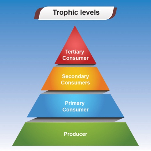 Trophic Levels icon