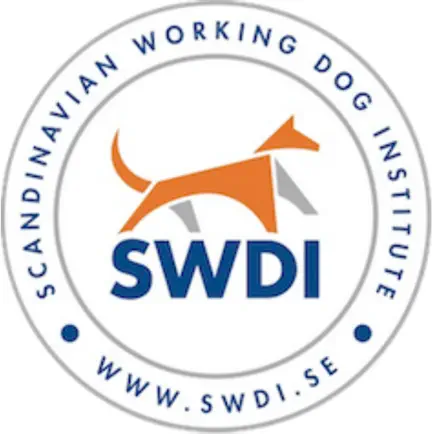 SWDI Читы