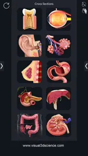 organs anatomy iphone resimleri 2