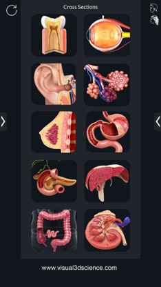 Organs Anatomy screenshot 2