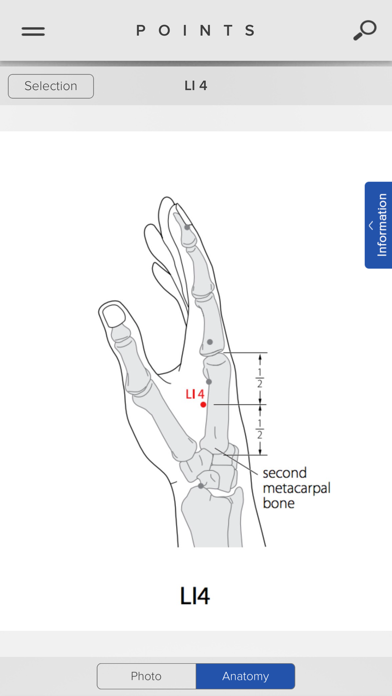 Acupuncture Points Screenshot