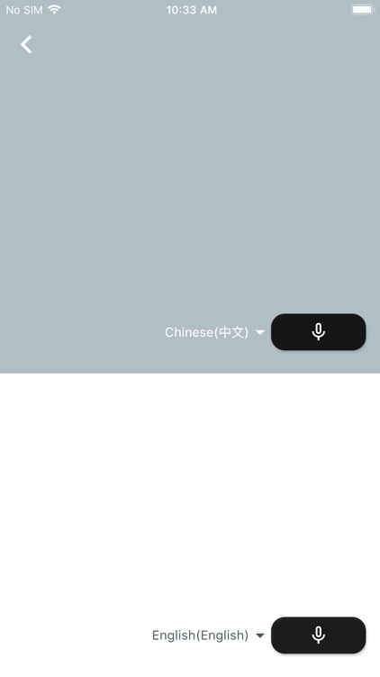 ByteEngine Translator