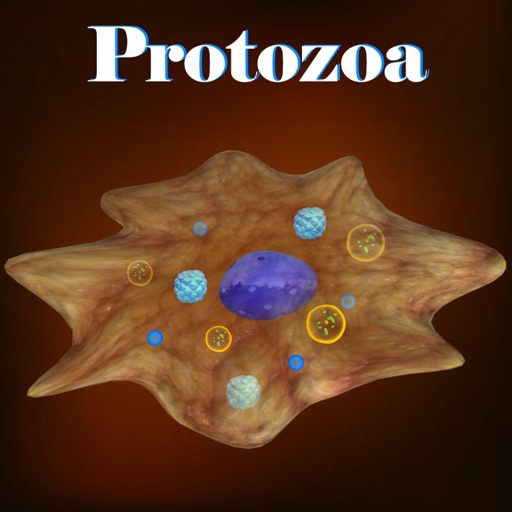 Learn Protozoa icon