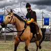Ottoman Horse Simulation App Positive Reviews