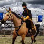 Ottoman Horse Simulation App Problems