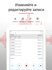 alon dictaphone - Диктофон айпад изображения 4