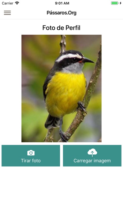 Pássaros.Org screenshot-4