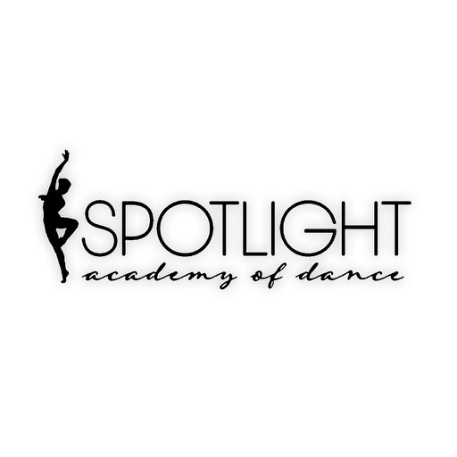Spotlight Academy by Raquel Mattern