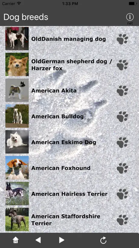 Breeds of Dogs