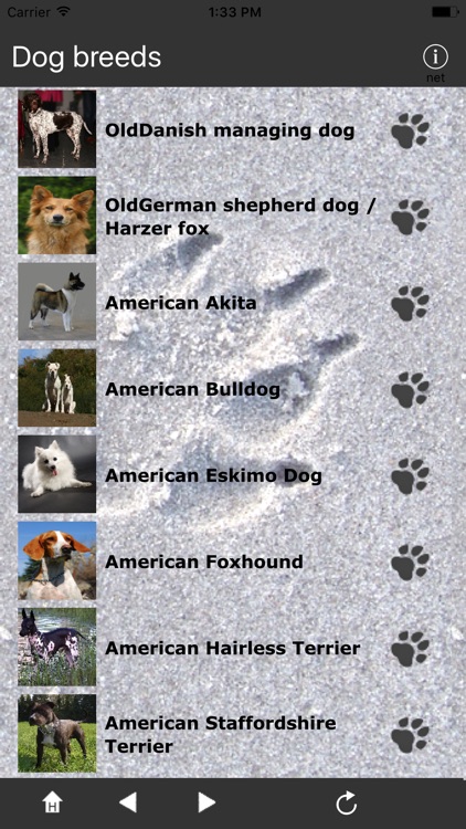 Breeds of Dogs screenshot-1