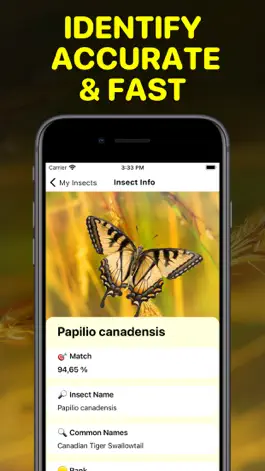 Game screenshot Bug Identifier App - Insect ID apk