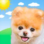 Boo Weather: Pomeranian Puppy App Cancel