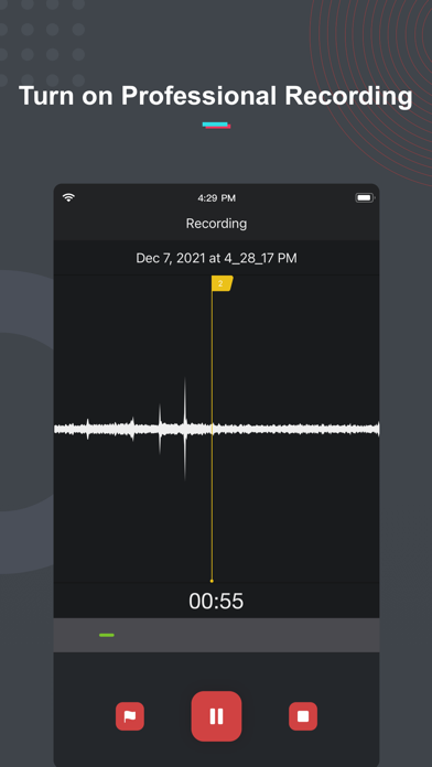 Voice Recorder & Memos Pro Screenshot