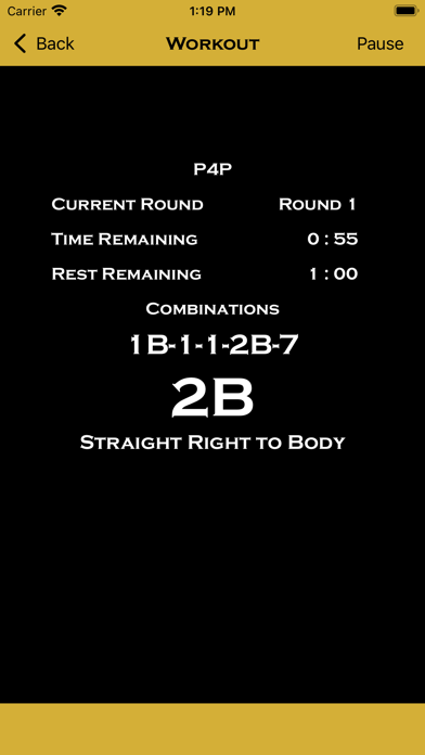 Precision Boxing Coach Pro Screenshot