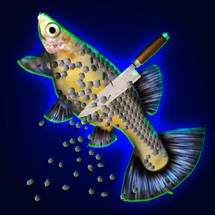 Fish Cleaning Master Cheats