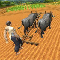 Village Farmers Plowing Harves