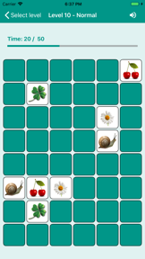 Brain game. Picture Match screenshot