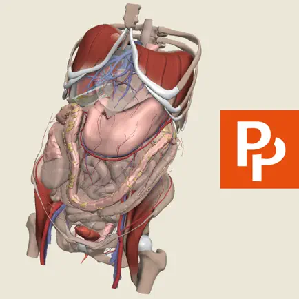 Primal's 3D Abdomen Cheats